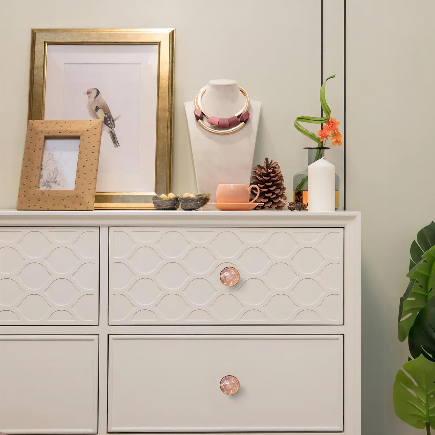 Set of 2 Natural Shell Cabinet Knobs DOOROOM