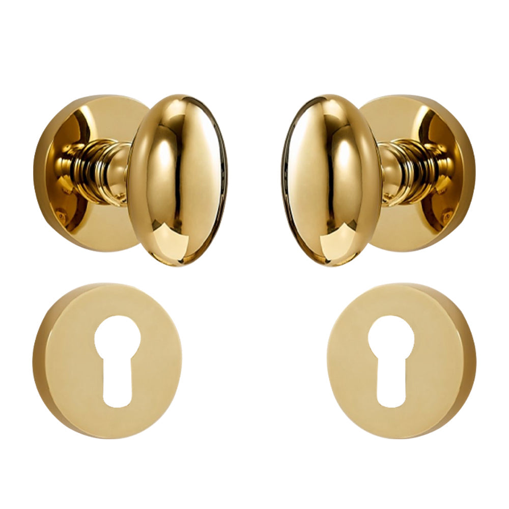 Dooroom Brass Door Lock Set Modern Shiny PVD Gold Interior Bedroom Bathroom Dummy Privacy Passage Hidden Door Lever Set DOOROOM