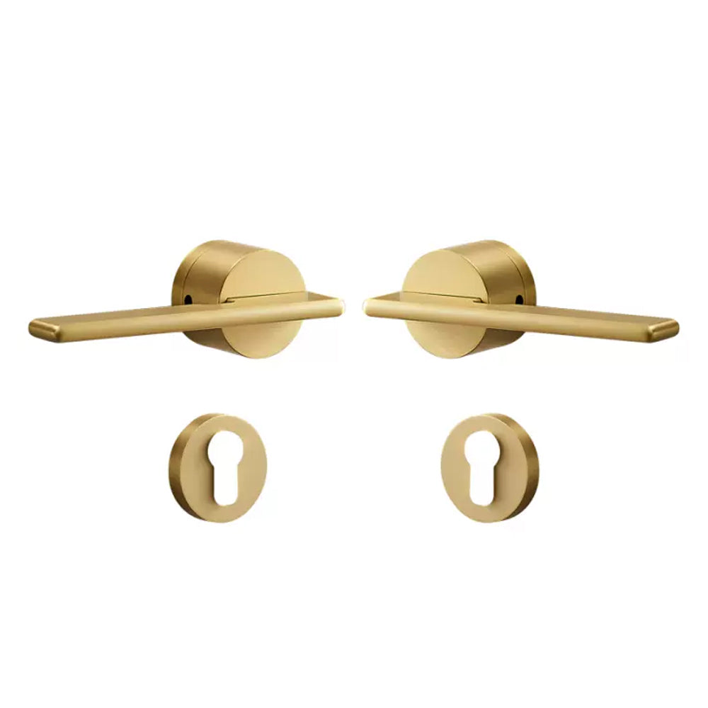 Dooroom Brass Door Lock Set Modern Gold Black Silver Interiror Bedroom Bathroom Double Wood Door Lever Set Dummy Handle Knob DOOROOM