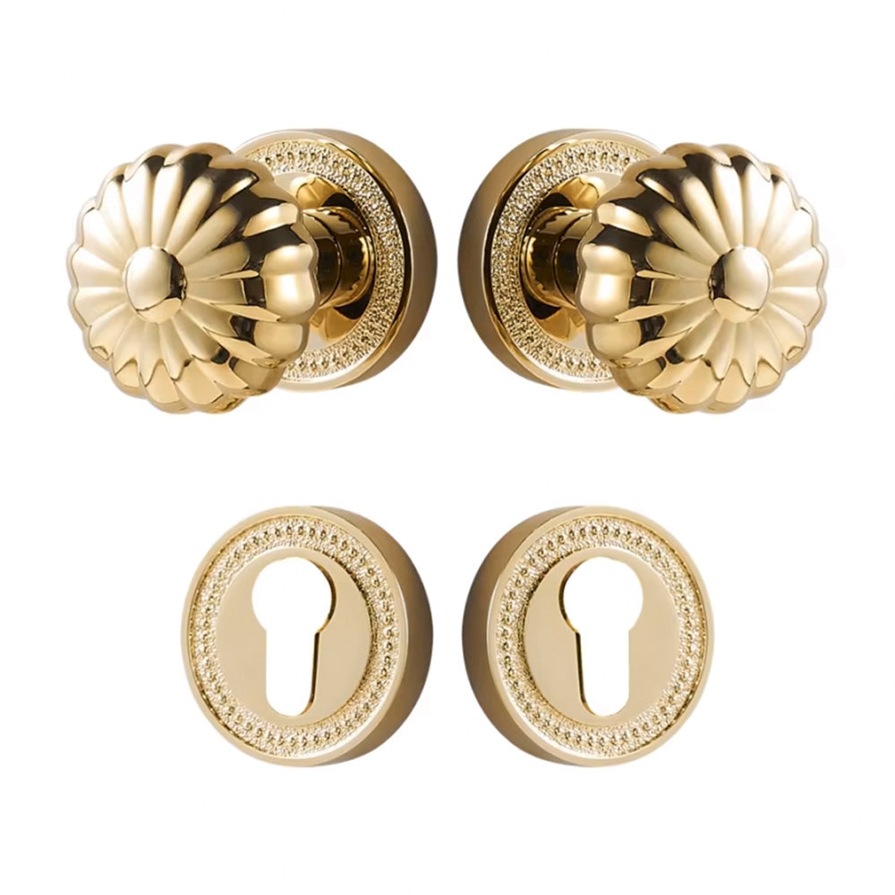 Dooroom Brass Door Lock Set  Magnetic Optional PVD Shiny Gold Interior Bedroom Bathroom Double Wood Door Lever Dummy DOOROOM