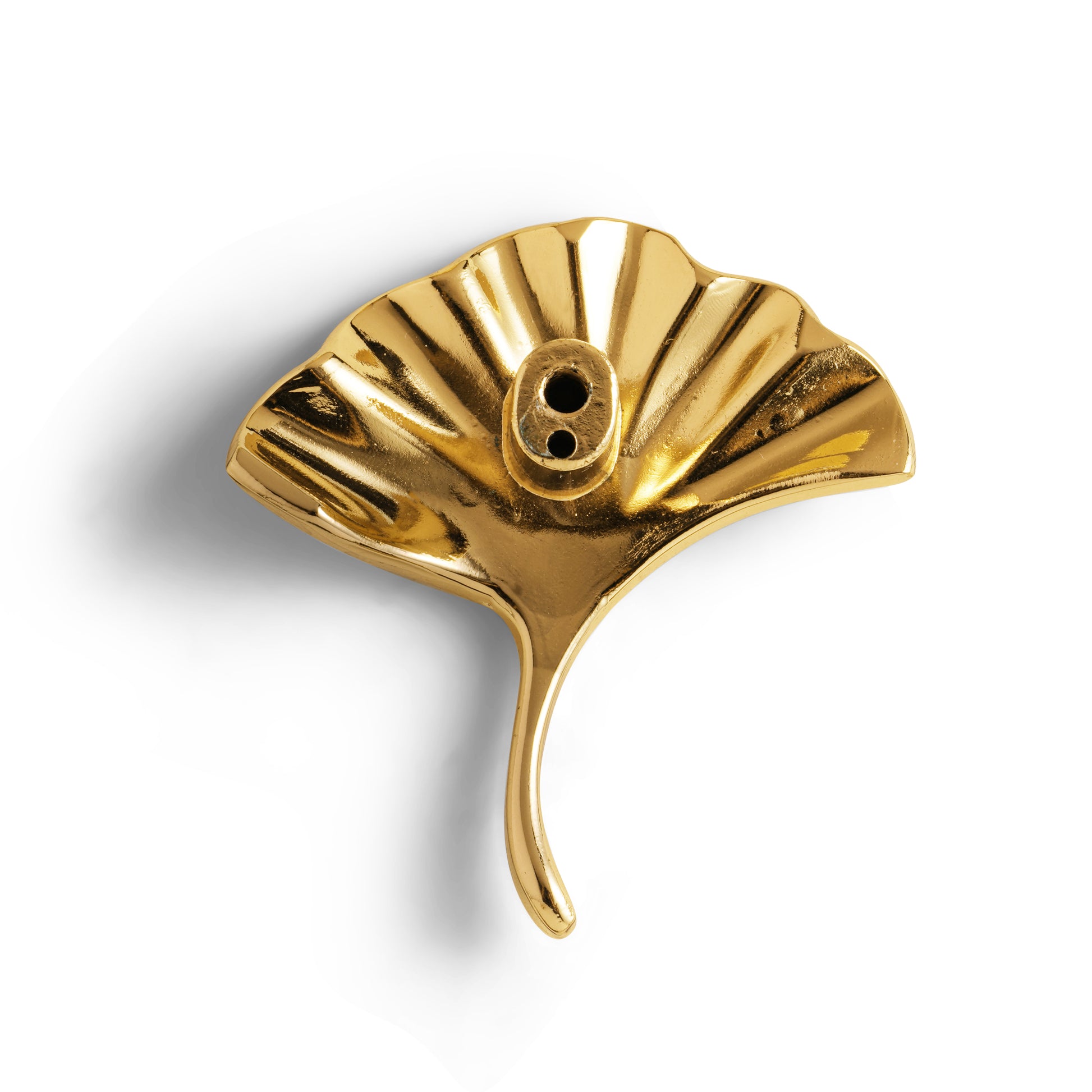 Set of 2 Ginkgo Leaf Brass Decorative Door Handles DOOROOM